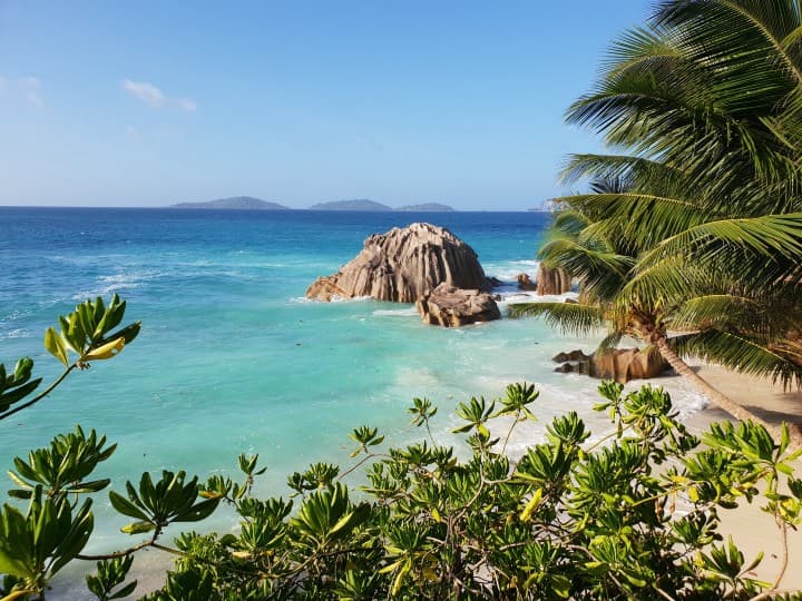 Picture of a beach with coconut trees and far-off mountains